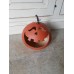 Zucca Halloween piccola