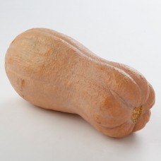 Butternut